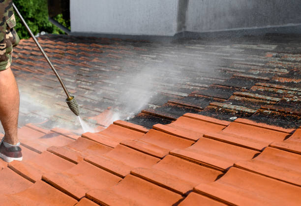 Best Exterior Home Cleaning  in Woodcreek, TX