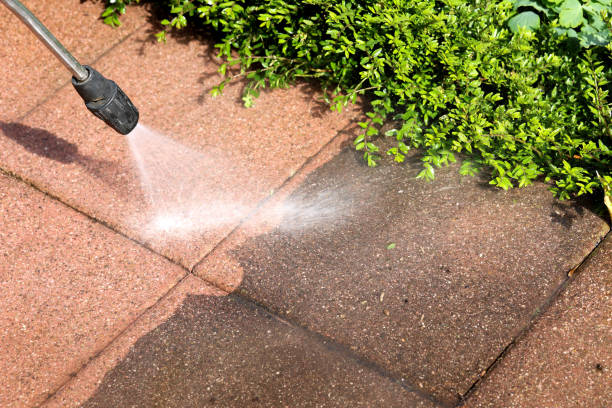 Best Affordable Pressure Washing  in Woodcreek, TX